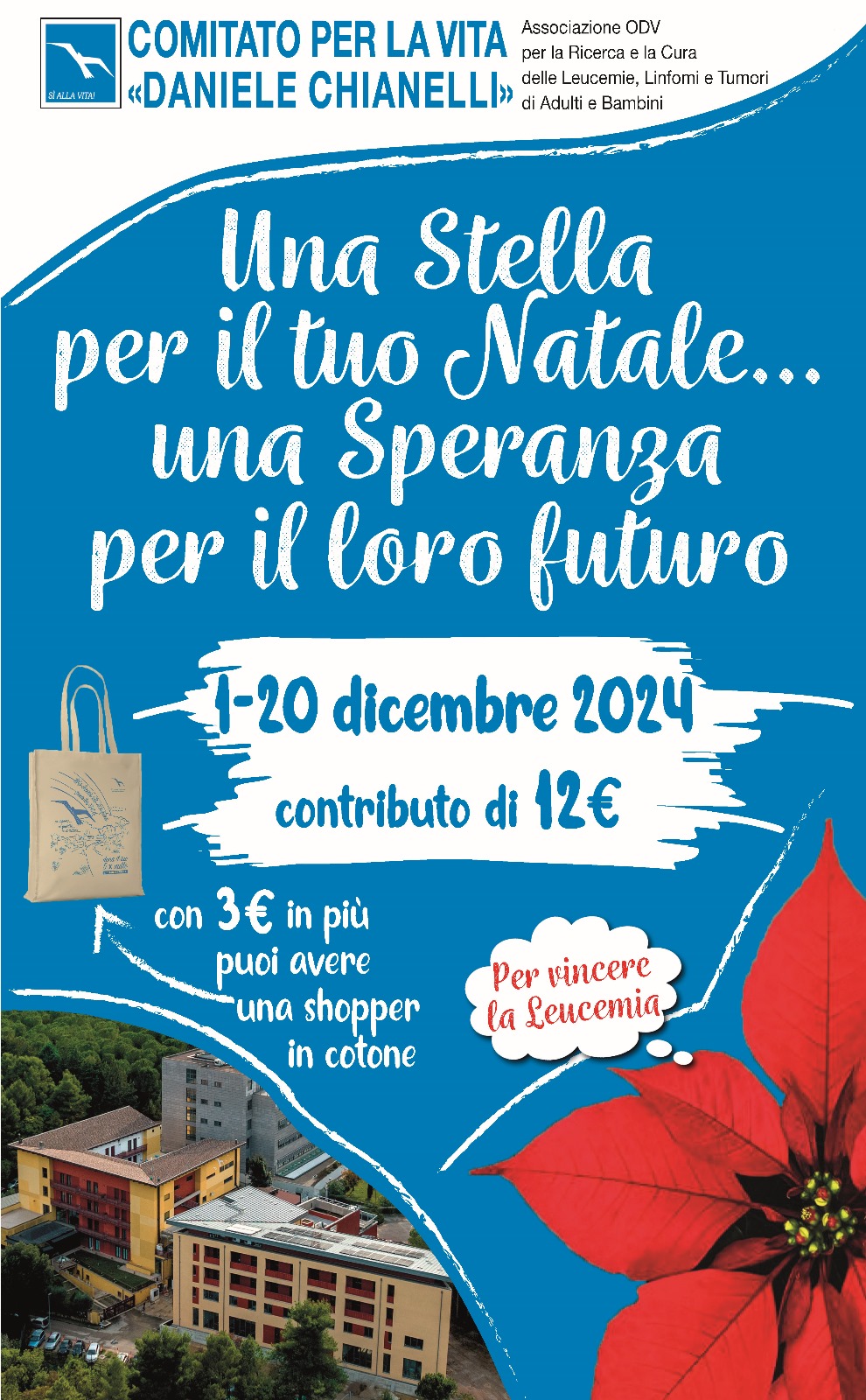 LE NOSTRE STELLE DI NATALE